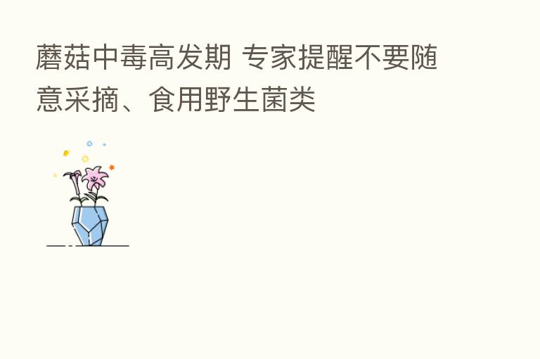 蘑菇中毒高发期 专家提醒不要随意采摘、食用野生菌类