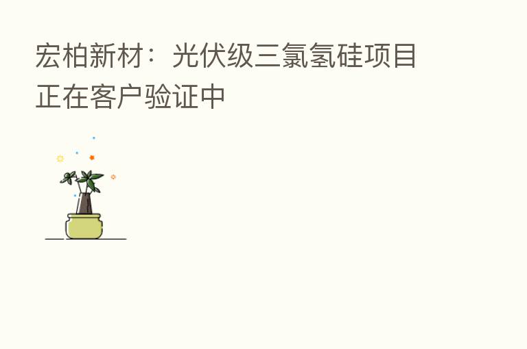 宏柏新材:光伏级三氯氢硅项目正在客户验证中
