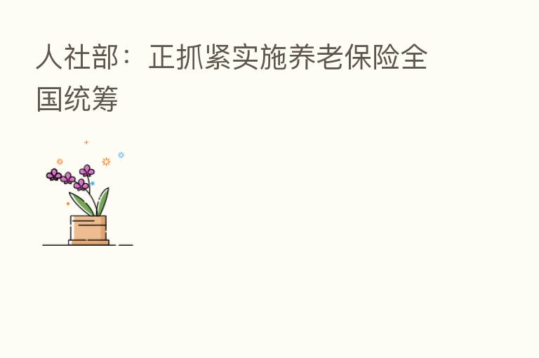 人社部:正抓紧实施养老 全国统筹
