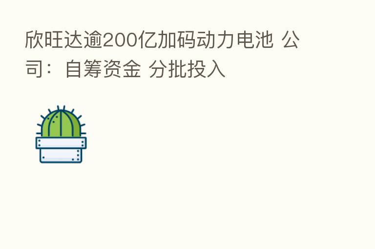 欣旺达逾200亿加码动力电池 公司:自筹资金 分批投入