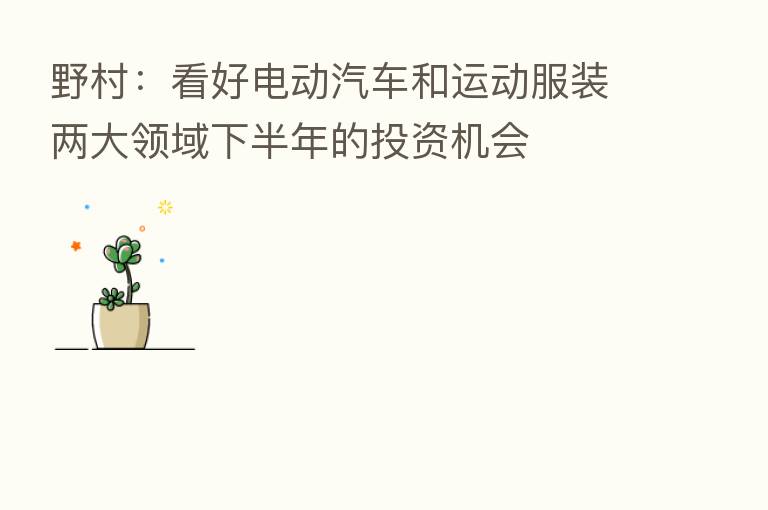 野村:看好电动汽车和运动服装两大领域下半年的投资机会