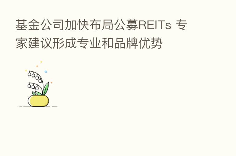 基金公司加快布局公募REITs 专家建议形成专业和品牌优势