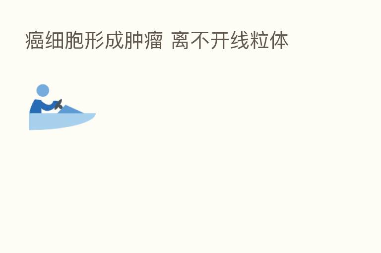 癌细胞形成肿瘤 离不开线粒体