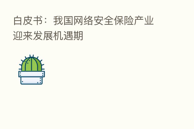 白皮书:我国网络安全 产业迎来发展机遇期
