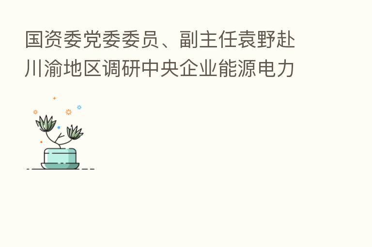 国资委党委委员、副主任袁野赴川渝地区调研中央企业能源电力保供工作