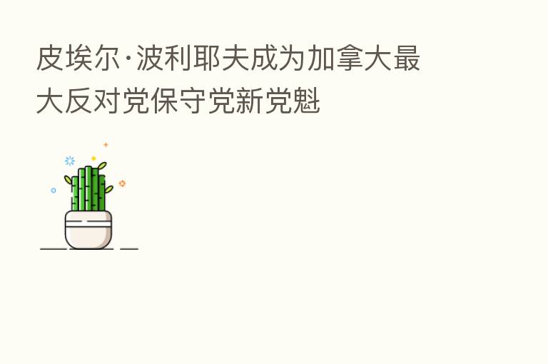 皮埃尔·波利耶夫成为加拿大   大反对党保守党新党魁