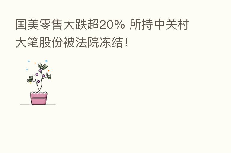 国美零售大跌超20% 所持中关村大笔股份被法院冻结!