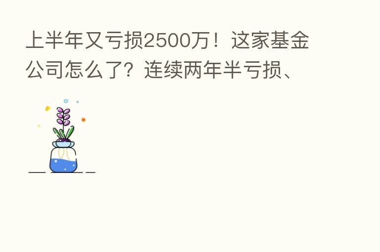 上半年又亏损2500万!这家基金公司怎么了?连续两年半亏损、管理规模停滞不前…