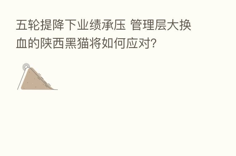五轮提降下业绩承压 管理层大换血的陕西黑猫将如何应对?