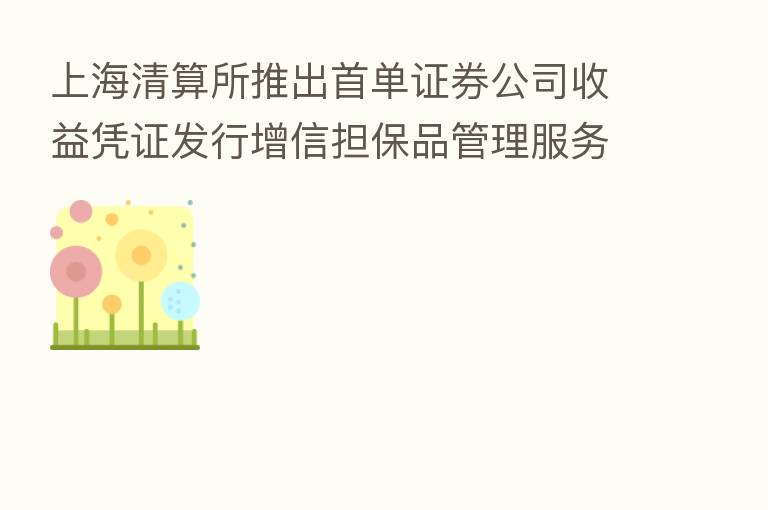 上海清算所推出首单证券公司收益凭证发行增信担保品管理服务