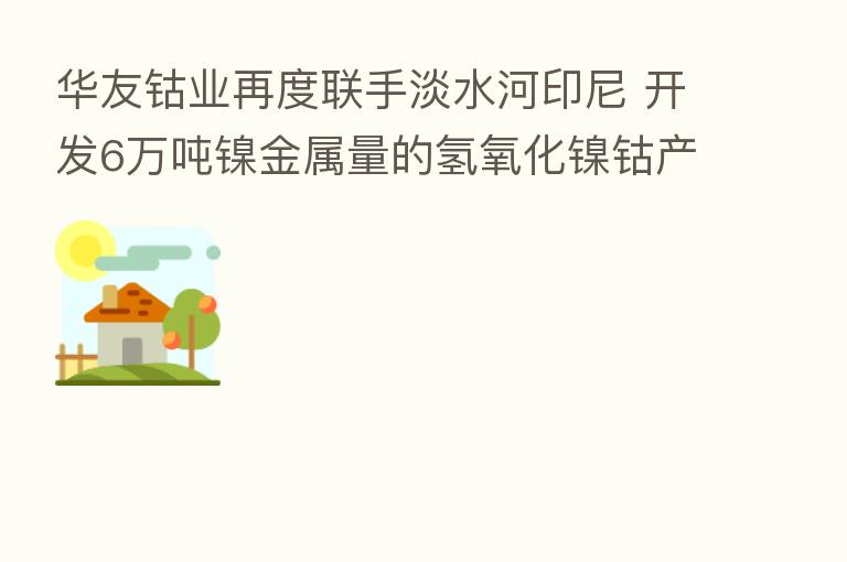 华友钴业再度联手淡水河印尼 开发6万吨镍金属量的氢氧化镍钴产品