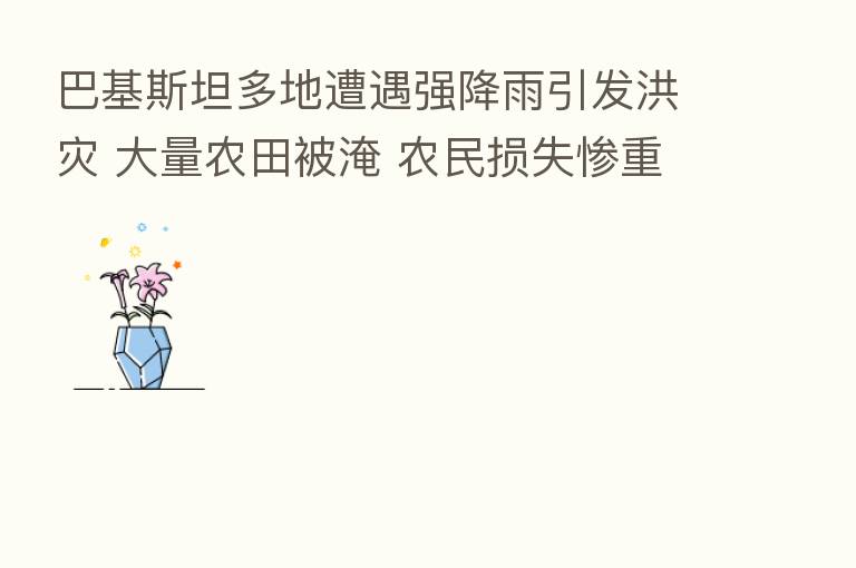 巴基斯坦多地遭遇强降雨引发洪灾 大量农田被淹 农民损失惨重