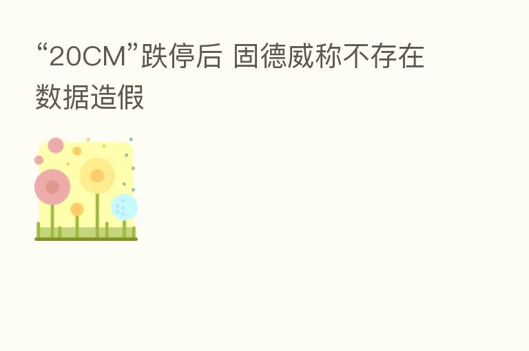 “20CM”跌停后 固德威称不存在数据造假