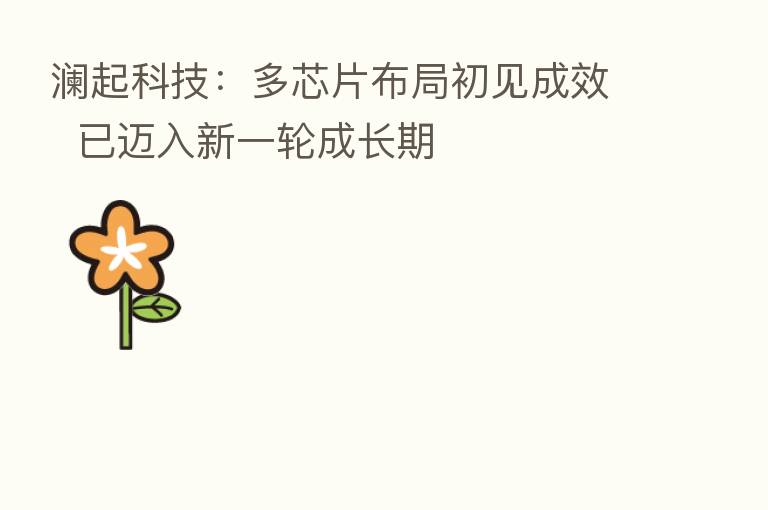 澜起科技:多芯片布局初见成效 已迈入新一轮成长期