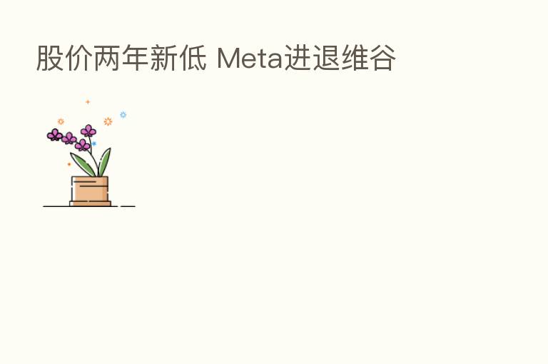 股价两年新低 Meta进退维谷
