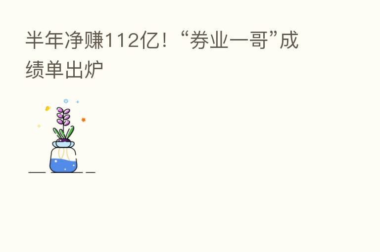 半年净赚112亿!“券业一哥”成绩单出炉