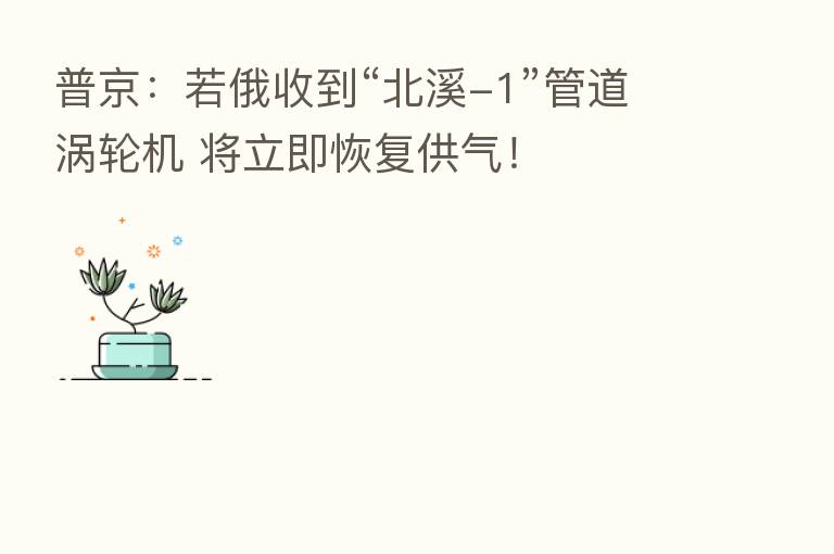 普京:若俄收到“北溪-1”管道涡轮机 将立即恢复供气!