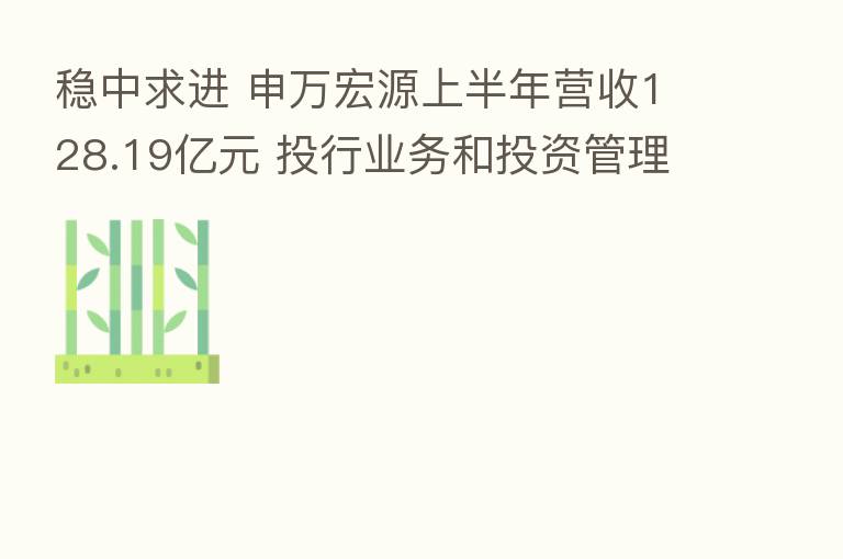 稳中求进 申万宏源上半年营收128.19亿元 投行业务和投资管理业务表现抢眼