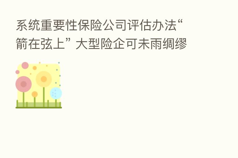 系统重要性 公司评估办法“箭在弦上” 大型险企可未雨绸缪