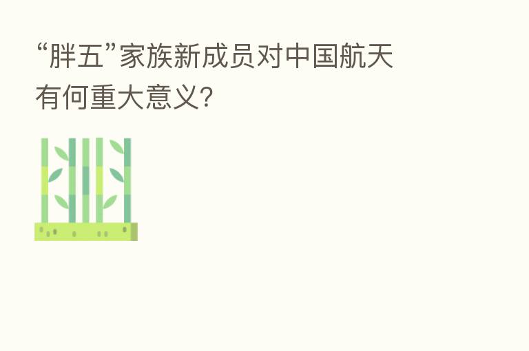 “胖五”家族新成员对中国航天有何重大意义?