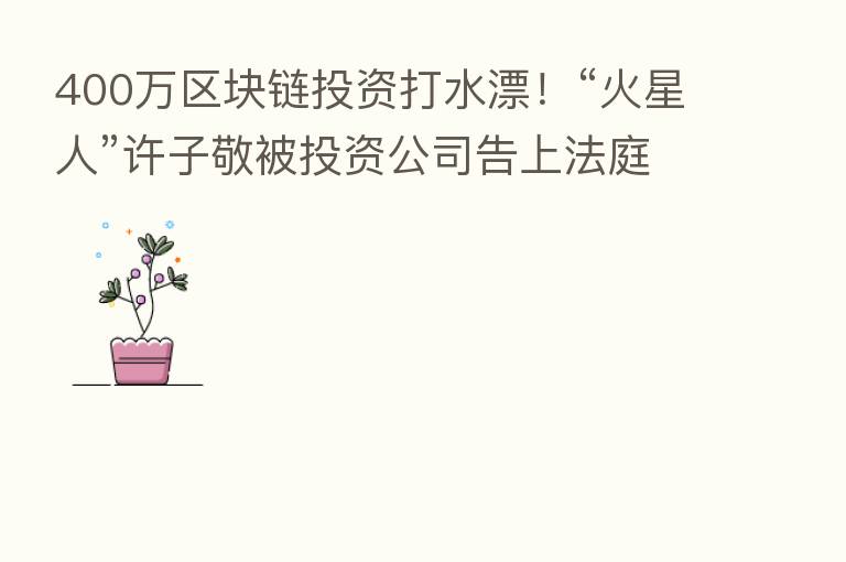 400万区块链投资打水漂!“火星人”许子敬被投资公司告上法庭