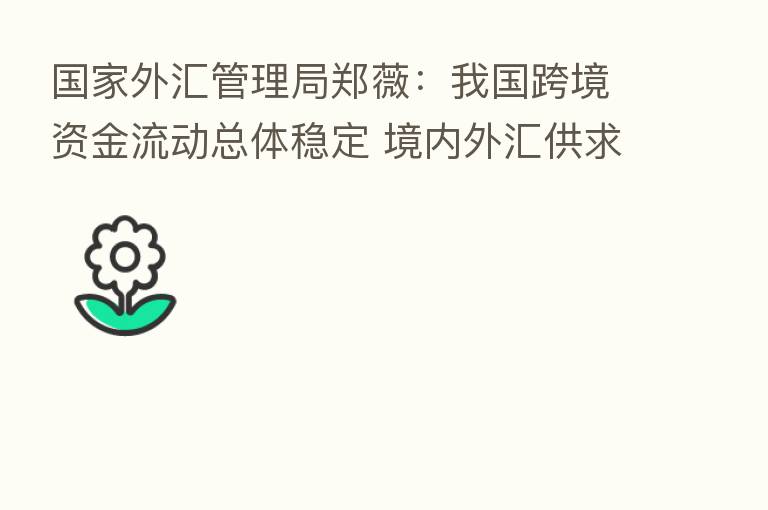 国家外汇管理局郑薇:我国跨境资金流动总体稳定 境内外汇供求保持基本平衡