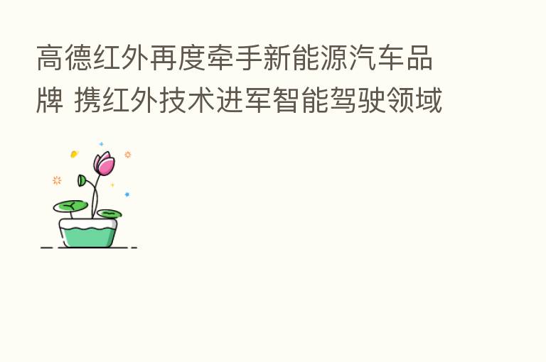 高德红外再度牵手新能源汽车品牌 携红外技术进军智能驾驶领域