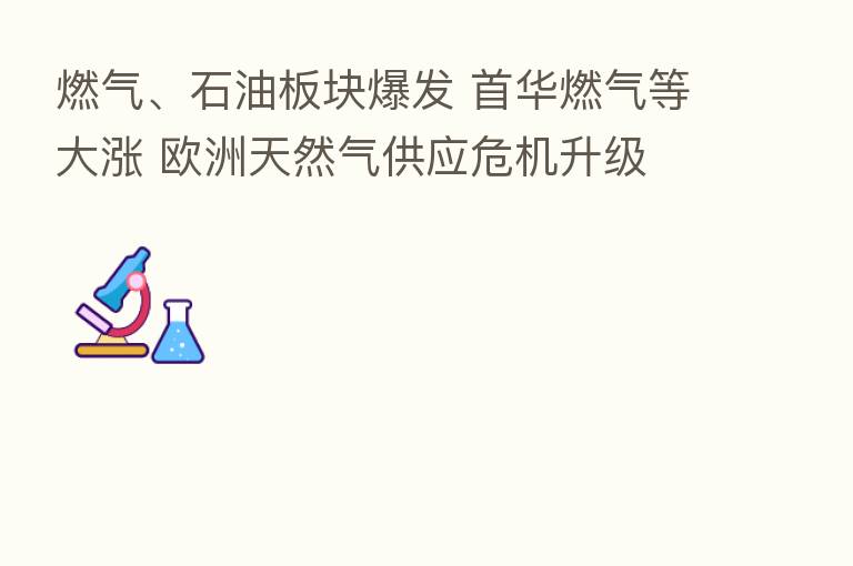 燃气、石油板块爆发 首华燃气等大涨 欧洲天然气供应危机升级