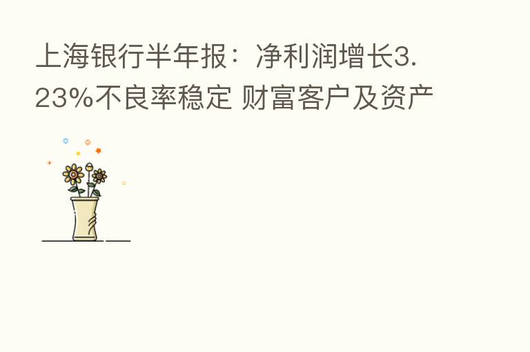 上海银行半年报:净利润增长3.23%不良率稳定 财富客户及资产均增长约13%