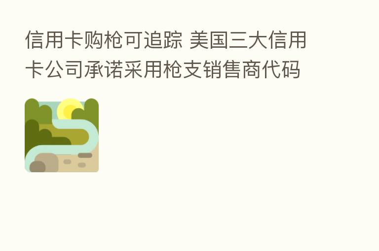 信用卡购枪可追踪 美国三大信用卡公司承诺采用枪支销售商代码