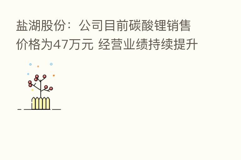 盐湖股份:公司目前碳酸锂销售价格为47万元 经营业绩持续提升