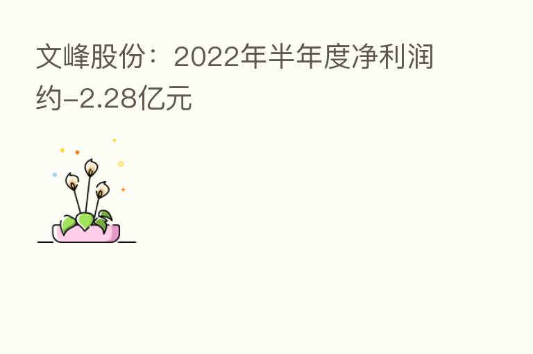 文峰股份:2022年半年度净利润约-2.28亿元