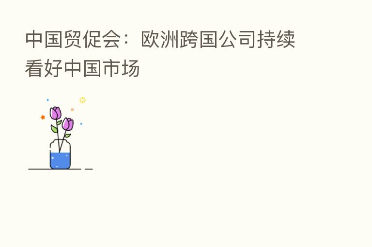 中国贸促会:欧洲跨国公司持续看好中国市场