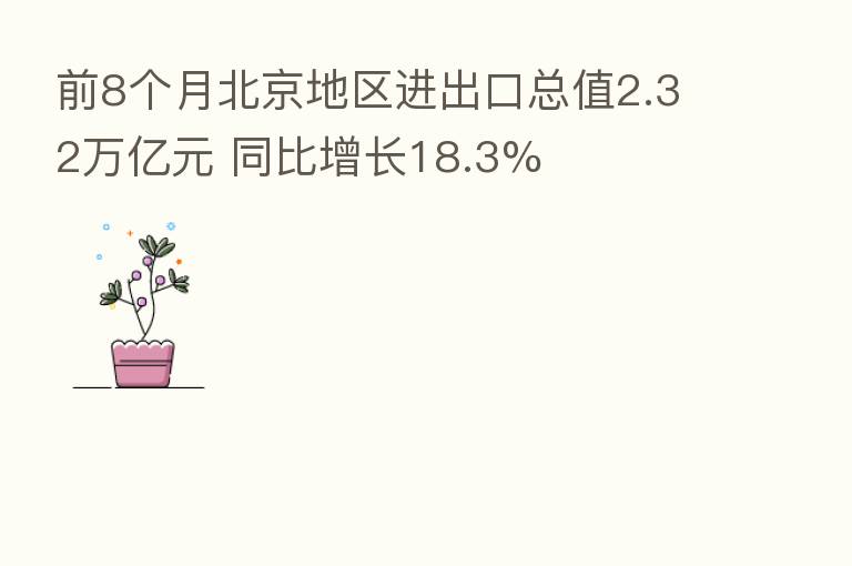 前8个月北京地区进出口总值2.32万亿元 同比增长18.3%