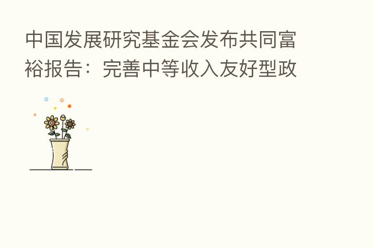 中国发展研究基金会发布共同富裕报告:完善中等收入友好型政策 构建生活质量评价框架