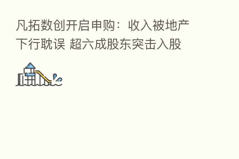 凡拓数创开启申购:收入被地产下行耽误 超六成股东突击入股