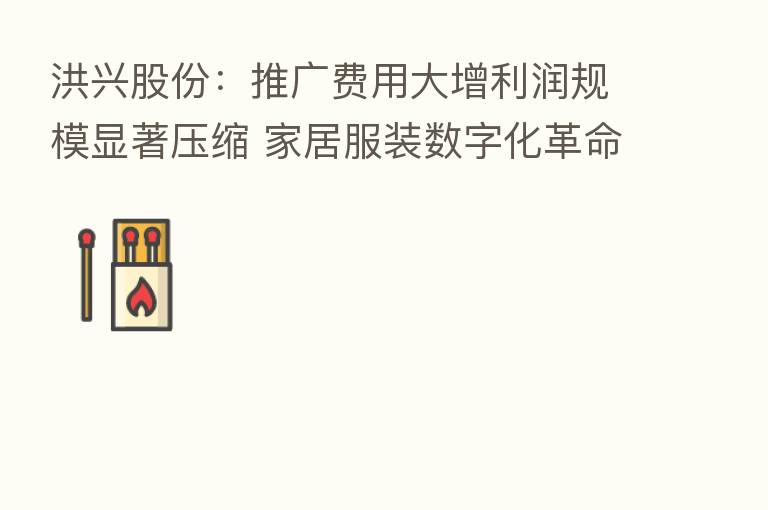 洪兴股份:推广费用大增利润规模显著压缩 家居服装数字化革命痛并快乐着