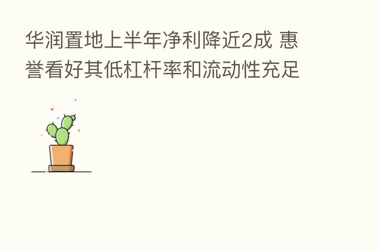 华润置地上半年净利降近2成 惠誉看好其低杠杆率和流动性充足