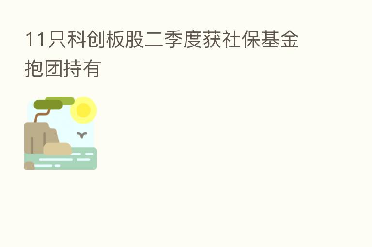 11只科创板股二季度获社保基金抱团持有