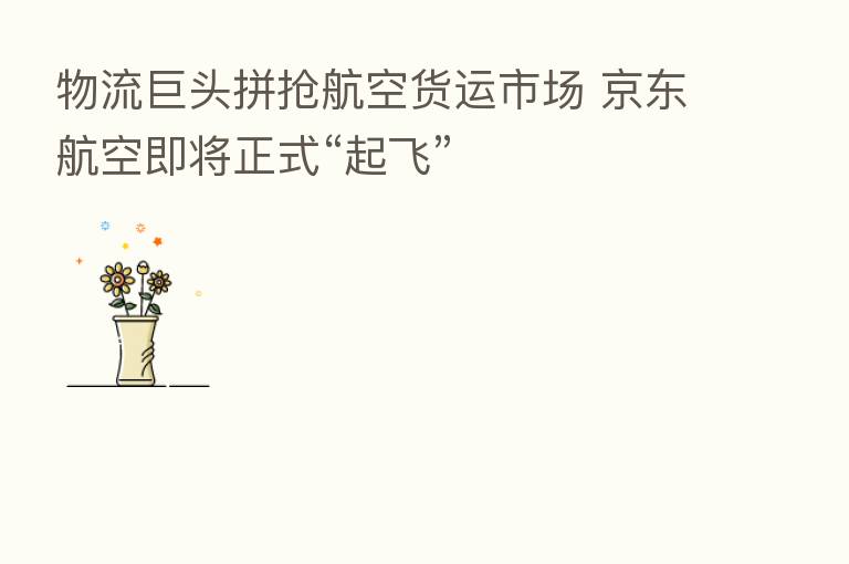 物流巨头拼抢航空货运市场 京东航空即将正式“起飞”