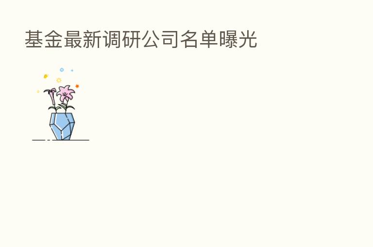 基金新 调研公司名单曝光