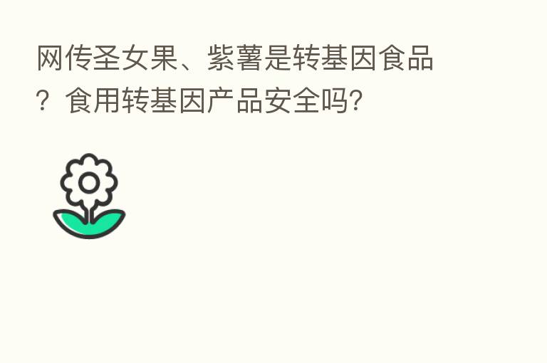 网传圣女果、紫薯是转基因食品?食用转基因产品安全吗?