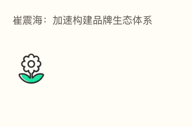 崔震海:加速构建品牌生态体系
