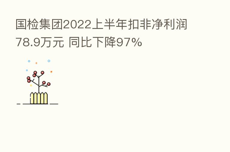 国检集团2022上半年扣非净利润78.9万元 同比下降97%