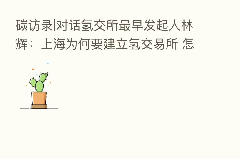 碳访录|对话氢交所   早发起人林辉：上海为何要建立氢交易所 怎么建设？
