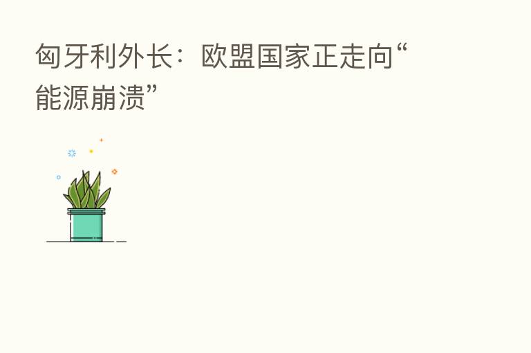 匈牙利外长:欧盟国家正走向“能源崩溃”