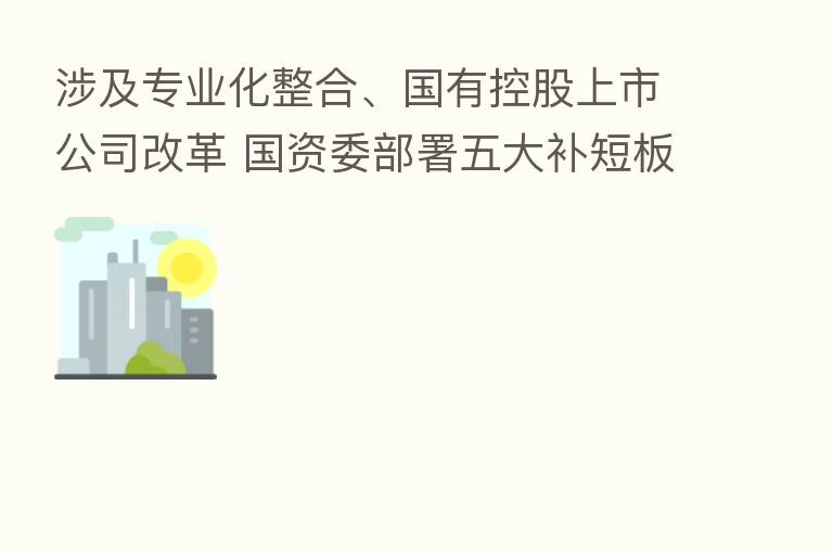 涉及专业化整合、国有控股上市公司改革 国资委部署五大补短板强弱项重点工作