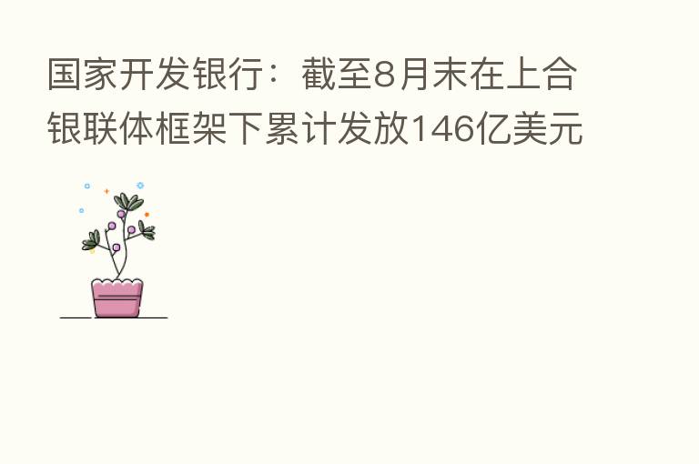 国家开发银行:截至8月末在上合银联体框架下累计发放146亿美元贷款