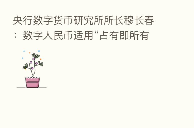 央行数字货币研究所所长穆长春:数字人民币适用“占有即所有”规则