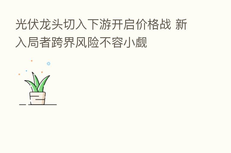 光伏龙头切入下游开启价格战 新入局者跨界风险不容小觑